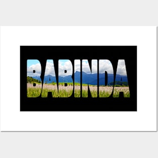 BABINDA - North Queensland Australia, Mount Bartle Frere. Posters and Art